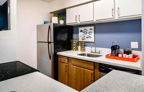 Houston apartment for rent - Granite Countertop Kitchen at The Daphne Apartments, The Barvin Group, Texas, 77054