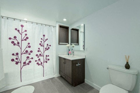 Floor plan for studio, 1 bath, 484 sqft