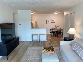 St. Peters apartment for rent - Brookmount Living Room