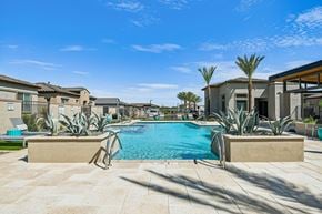 San Tan Valley apartment for rent - Resort Style Pool at Avilla Bella Camino, San Tan Valley, AZ 85143