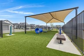 Forney apartment for rent - Dog park and agility equipment for your furry friends at Avilla Oakridge in Forney, TX.