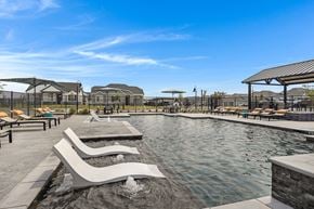 Forney apartment for rent - Resort-style pool and lounging at Avilla Oakridge in Forney, TX.