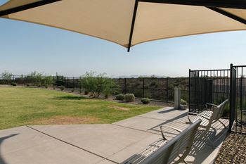 Dog park & pet wash