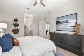 Land O Lakes apartment for rent - Gorgeous Bedroom at Avilla Silver Palm, Land O Lakes