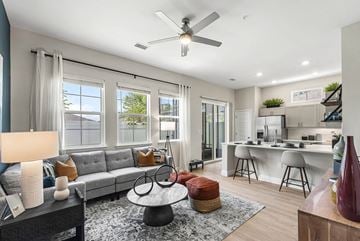 Land O Lakes apartment for rent - A modern living room with a grey sofa and a ceiling fan.