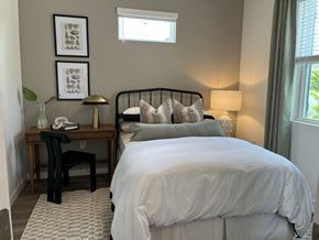 Land O Lakes apartment for rent - Gorgeous Bedroom with Wide Windows at Avilla Silver Palm, Land O Lakes, FL 34638