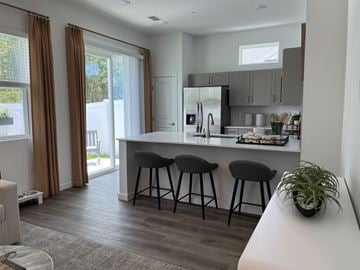 Land O Lakes apartment for rent - A kitchen with a bar stool and a plant on the counter.