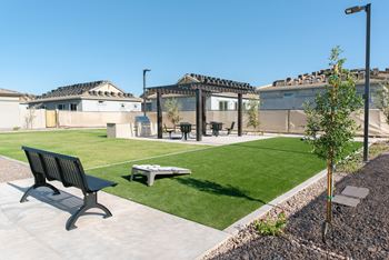 Outdoor green/open areas