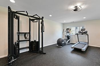 Home gym with cardio and strength equipment