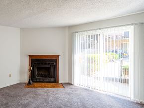 Batavia apartment for rent - a living room with a fireplace and a large window