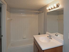 Batavia apartment for rent - a bathroom with a sink and a tub and a mirror