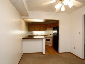 Cincinnati apartment for rent - an empty kitchen with a black refrigerator and a sink
