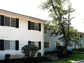 Cincinnati apartment for rent - a white house with a tree in front of it