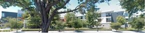 Sunnyvale apartment for rent - A tree in the foreground with a modern building in the background.