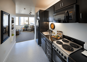 San Jose apartment for rent - Kitchen