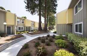 Mountain View apartment for rent - A row of houses with a tree in the middle.