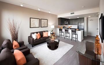 San Jose apartment for rent - A modern living room with a brown sofa and a white rug.