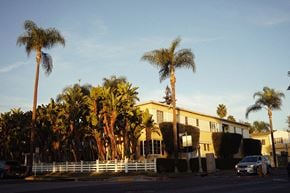 Santa Clara apartment for rent - A row of palm trees in front of a building.