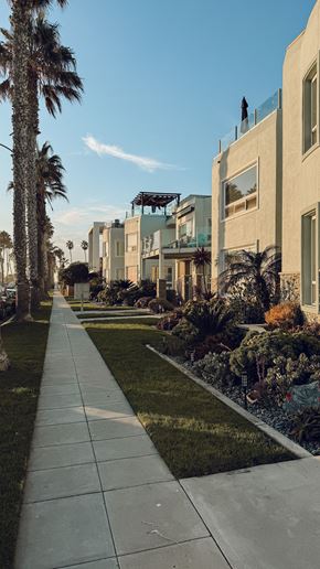 San Jose apartment for rent - A long walkway leads to a row of houses with a palm tree on the left.