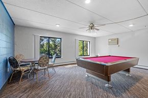 Anoka apartment for rent - a game room with a pool table and a dining table