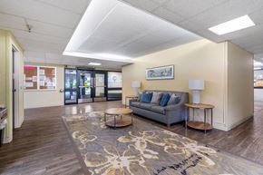 Roseville apartment for rent - a living room with a couch and a rug