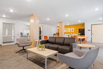 Minneapolis apartment for rent - A modern living room with a grey chair and a brown couch.