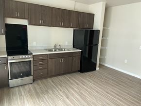 Minneapolis apartment for rent - an empty kitchen with a black refrigerator and a sink