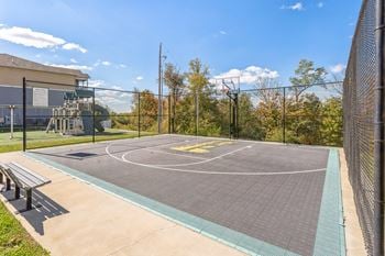 Basketball court