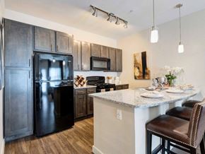 Houston apartment for rent - a kitchen with stainless steel appliances and a granite counter top