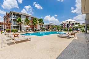 Denham Springs apartment for rent - A large swimming pool surrounded by sun loungers and palm trees.
