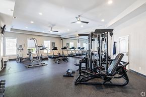 Forest apartment for rent - A spacious home gym with a variety of equipment.