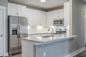 Macon apartment for rent - a kitchen with stainless steel appliances and a granite counter top