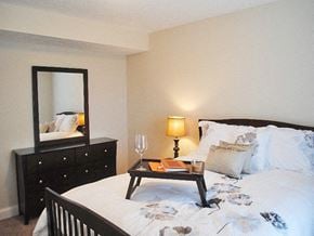 Triadelphia apartment for rent - a bedroom with a bed and a mirror