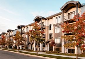 Ottawa apartment for rent - a rendering of a row of townhouses with trees in front of them