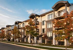 Ottawa apartment for rent - a row of apartment buildings on a street with trees