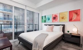 Toronto apartment for rent - Spacious bedroom in rental apartment downtown toronto