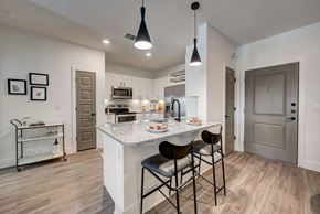 Riverview apartment for rent - Kitchen