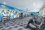 Allen apartment for rent - Fitness Center with Cardio, Resistance & Free Weights