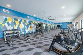 Allen apartment for rent - Fitness Center with Cardio, Resistance & Free Weights