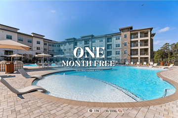 Houston apartment for rent - The Rylan Vintage Park