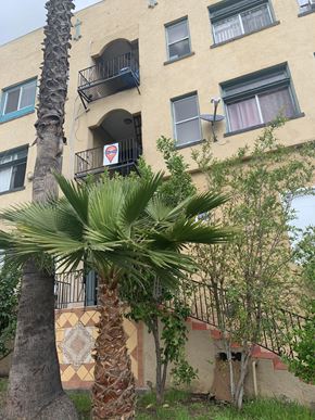 Los Angeles apartment for rent - A palm tree in front of a building with balconies.