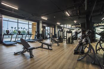 Wellness fitness studio