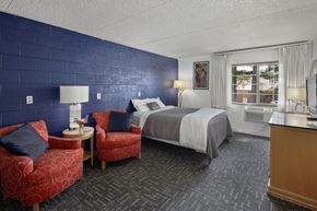 Whitefish apartment for rent - InteriorOneBedLGStudio