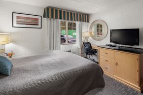 Whitefish apartment for rent - InteriorOneBedStudio