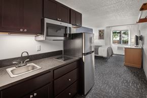 Whitefish apartment for rent - InteriorStudioKitchenArea