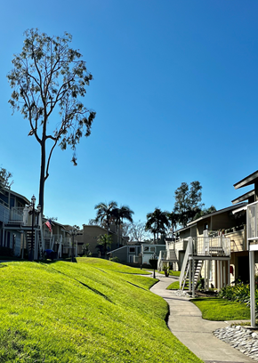 West Covina apartment for rent - a grassy area with a tree in the middle of it