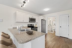 Westbrook apartment for rent - a kitchen with a granite counter top and a sink