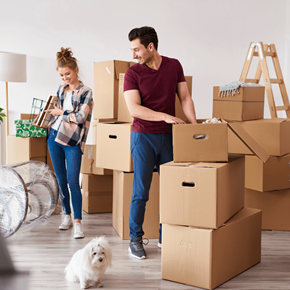 Scarborough apartment for rent - Couple moving boxes with small dog in new home at Hackamore North Apartments, Scarborough, ME 04074