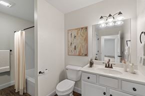 Westbrook apartment for rent - a bathroom with a white sink and toilet and a shower