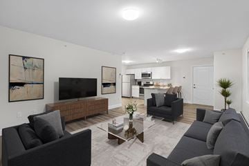 Westbrook apartment for rent - a living room with couches and a coffee table and a television